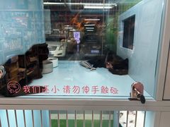-FAELING PETS美天灵宠物(合生汇店)