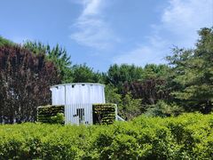 -将府公园