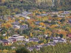 -北京西山国家森林公园