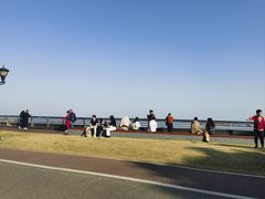 -野狸岛