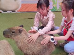 -正佳雨林生态植物园