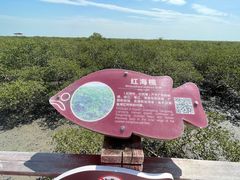 -北海金海湾红树林生态旅游区