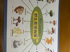 -菌彩云南野生菌火锅(万达广场店)