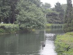 -长白岛森林公园