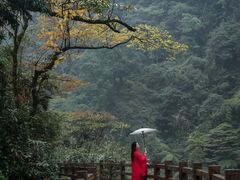 -赤水丹霞旅游区·大瀑布