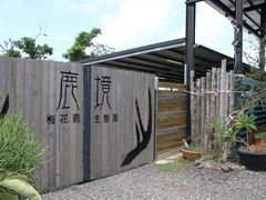 -鹿境梅花鹿生态园区