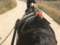 -水洞沟旅游区