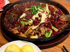 -老板恋上鱼(恒隆广场店)