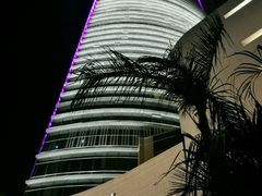 -演武大桥观景平台