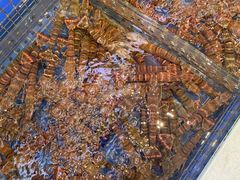 -益利大酒楼(井岸店)