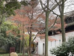 -西园戒幢律寺