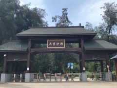 -大京沙滩