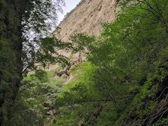 -龙门涧景区