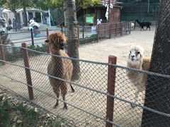 -大连森林动物园