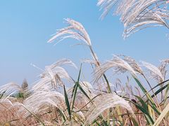 -良渚古城遗址公园