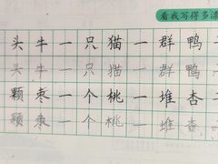 -赵汝飞练字硬笔书法(博泰国际校区)