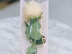 -CoCo都可(宝安大仟里店)