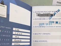 -申普宠物医院·心脏介入·心血管微创(总院)