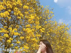 -天适樱花悠乐园