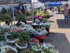 -王四营海鲜市场