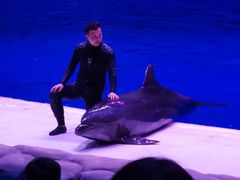 -华夏文旅海洋公园