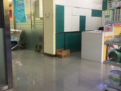 -瑞派宠物医院·24h·骨外科·皮肤科·全科宠物医疗转诊中心(沈阳浑南院)