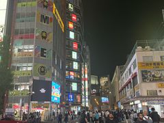 -秋叶原电器街