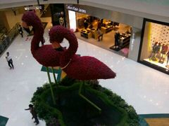 -凯德广场(学府店)