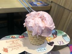 -野人先生现做冰淇淋(北京顺义祥云小镇店)