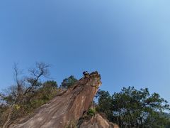 -南山植物园