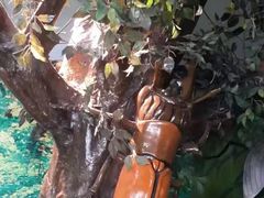 -上海大自然野生昆虫馆(东方明珠·爬宠昆虫探索中心)