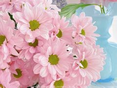 -沪花拾者(好再来花卉鲜花店)