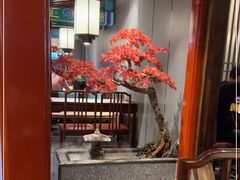 -天外天烤鸭店(八角店)