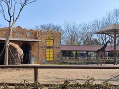 -扬州市茱萸湾风景区