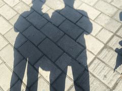 -亭林园-华藏寺