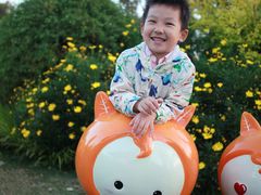 -上海长兴岛郊野公园