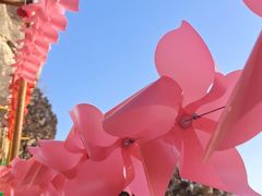 -黑龙潭风景区