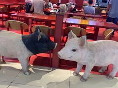 -猪角·闽南猪脚饭(上梅林店)