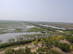 -南大港湿地风景区