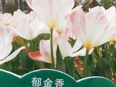 -江南大学(蠡湖校区)