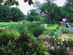 -上海共青森林公园