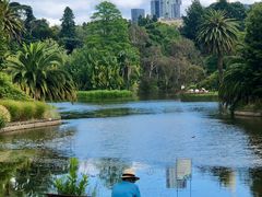 -墨尔本皇家植物园