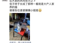 -野火鲜货烧烤(河边小院店)