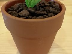 -Dreamsalad梦想轻厨(健康轻食·减脂沙拉·意面·祖庙店)