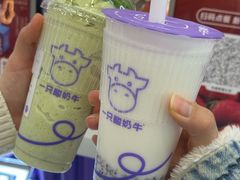 -一只酸奶牛(来福士店)