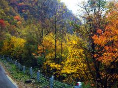 -叠溪松坪沟景区