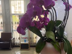 -茂菊口腔连锁(浦东南路店)
