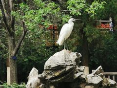 -昆明动物园