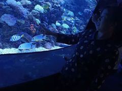 -成都浩海立方海洋公园