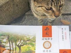 -西园戒幢律寺